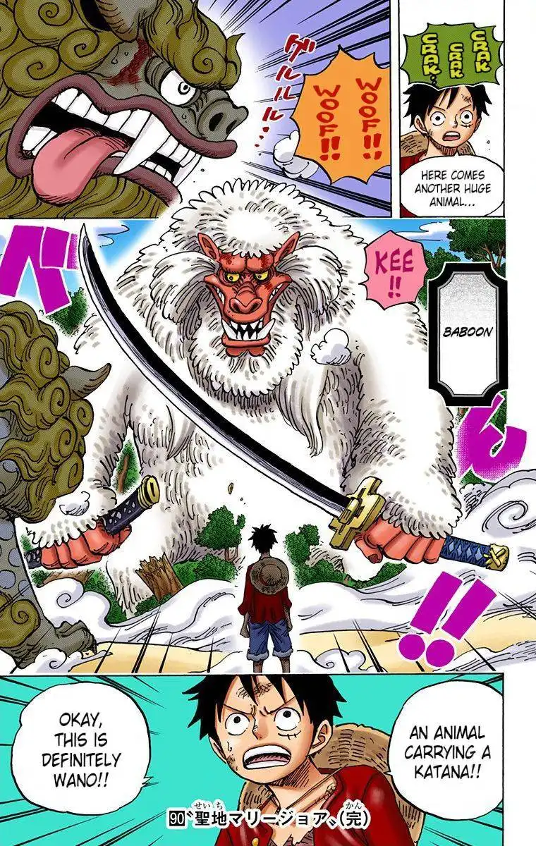 One Piece - Digital Colored Comics Chapter 910 12